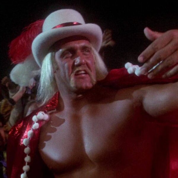 hulk hogan movies