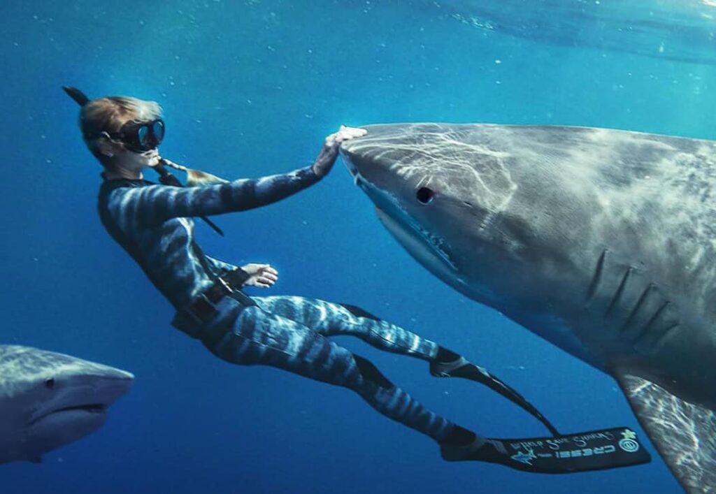 Top 10 Movies: Shark Whisperer | Courtesy of Netflix