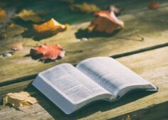 Open Bible showing pages from Psalms, symbolizing faith, love, and spiritual reflection through scripture and Bible study. Image Credit: by Pexels via Pixabay