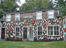 Maine Lobster Festival