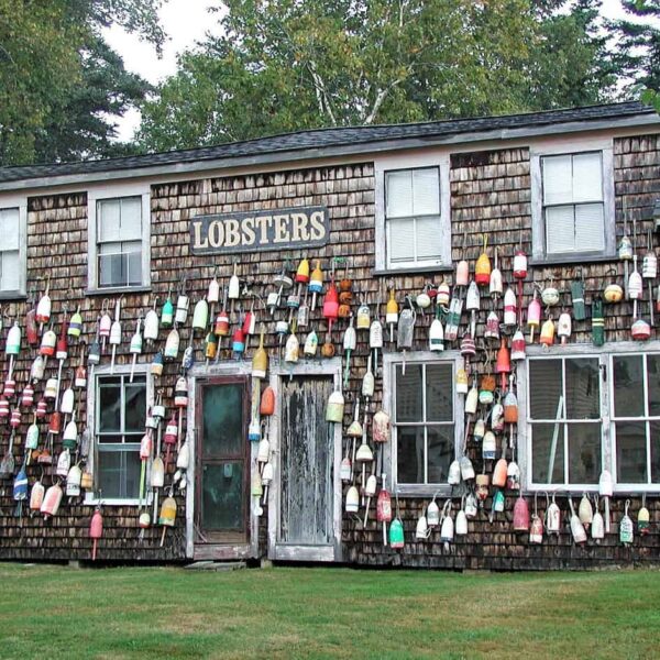 Maine Lobster Festival