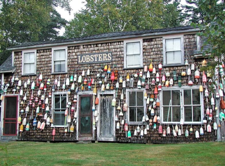 Maine Lobster Festival