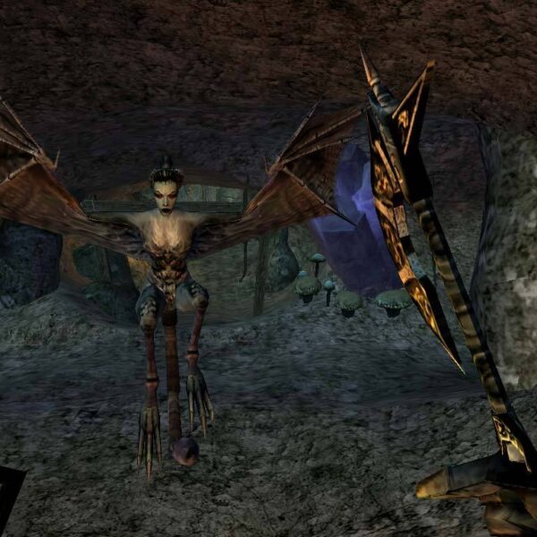 Morrowind