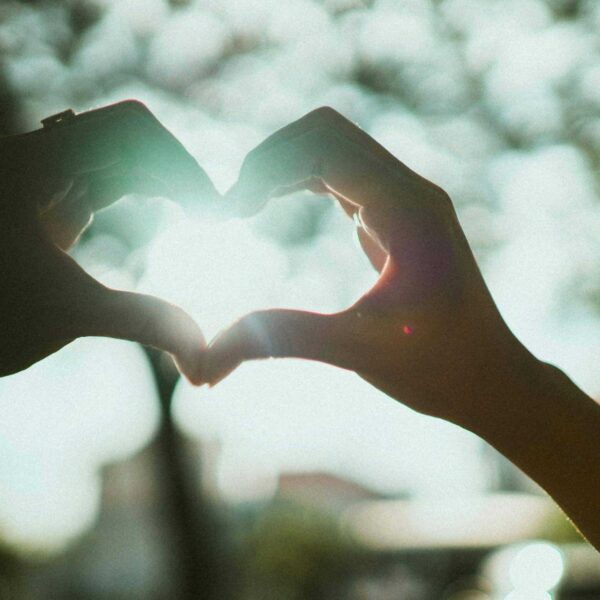 Close-up of hands creating a heart shape under bright sunlight, symbolizing love and connection. Venus in Gemini