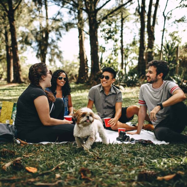 Friends having a fun picnic in the park with a Shih Tzu, enjoying a sunny day outdoors. international friendship day