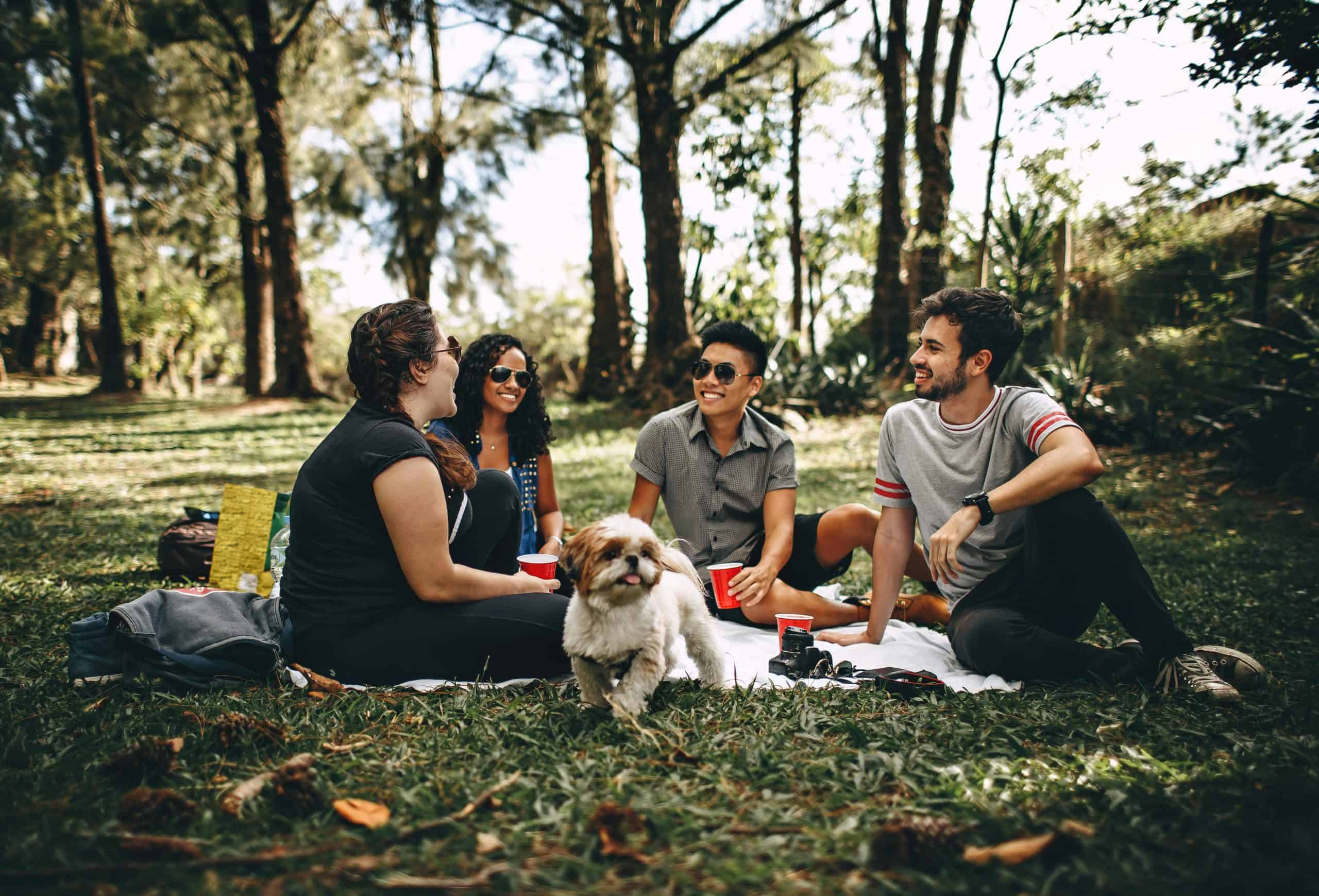 Friends having a fun picnic in the park with a Shih Tzu, enjoying a sunny day outdoors. international friendship day