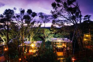 Costa Rica San Lucas Treetop Dining Experience