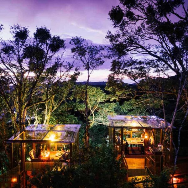 Costa Rica San Lucas Treetop Dining Experience