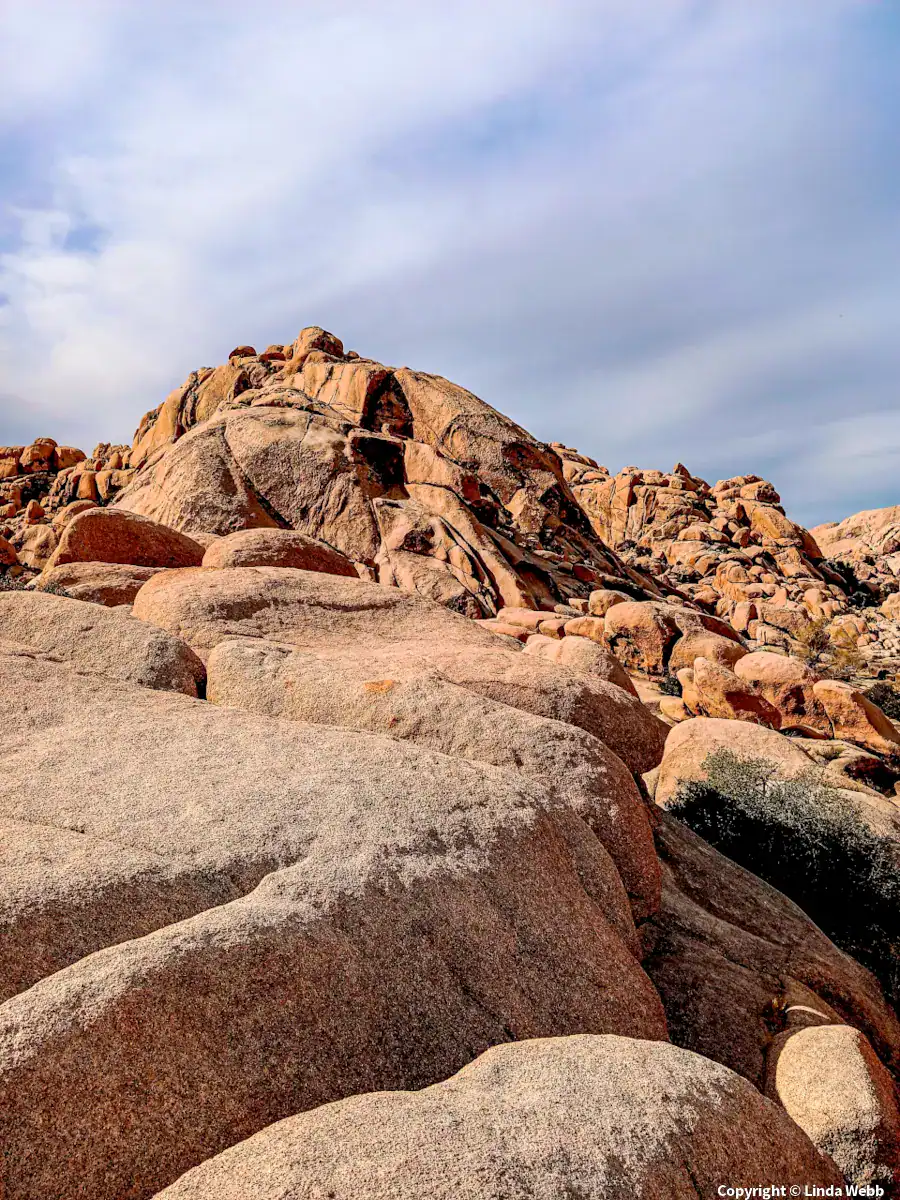 Weathered granite formations in Joshua Tree National Park, one of California's most unique and unusual attractions.