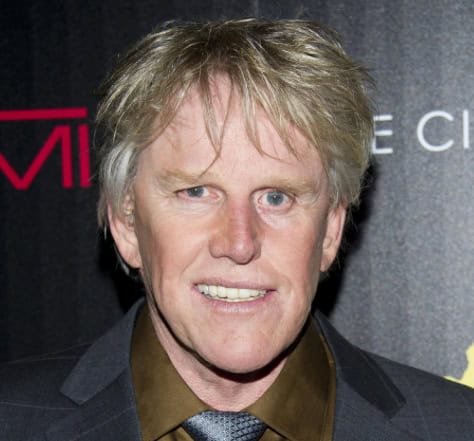 Gary Busey