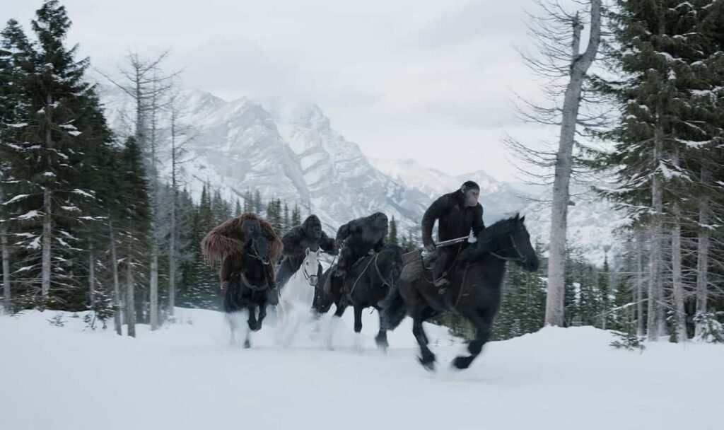 Top 10 Movies: War for the Planet of the Apes | Courtesy of HBO Max