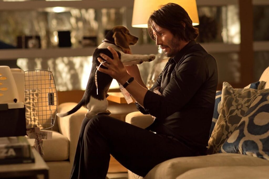 Top 10 Movies: John Wick | Courtesy of Hulu
