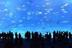 aquariums