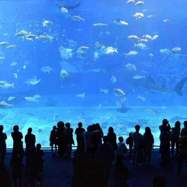 aquariums