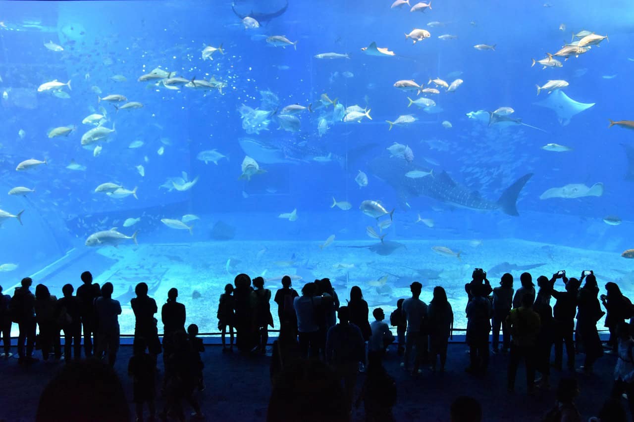 aquariums
