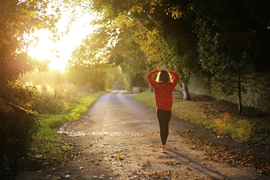 walking, fitness, girl, dawn, nature, fall, outdoors, pathway, recreation, trees, brown fitness, brown tree, brown sunset, brown walking, brown workout