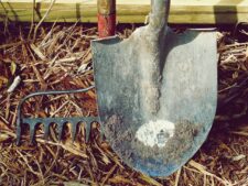Gardening tools including a shovel and rake with dirt, hand tools, and natural farm setting. Image credit: by Pexels via Pixabay