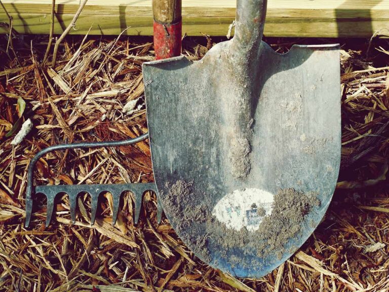 Gardening tools including a shovel and rake with dirt, hand tools, and natural farm setting. Image credit: by Pexels via Pixabay