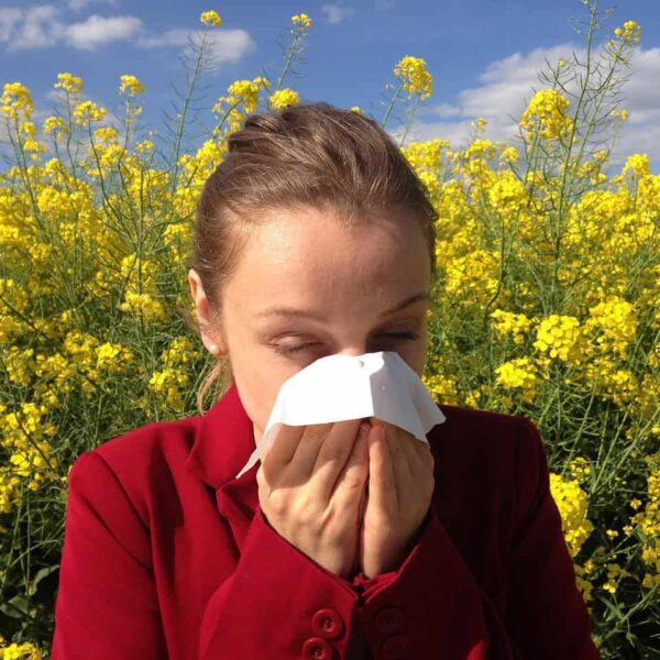 allergy, medical, allergic, allergen, health, medicine, pollen, reaction, allergy, allergy, allergy, allergy, allergy