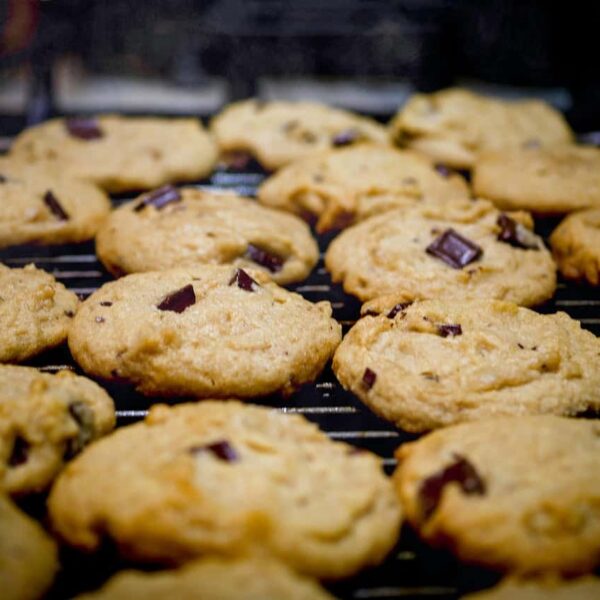 chocolate chip cookie