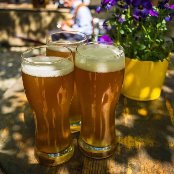beer, wheat, yeast, foam, wheat beer, cloudy, thirst, drink, alcohol, prost, beer garden, beer glass, three, refreshment, yummy, beer, beer, beer, beer, beer, yeast, beer garden, beer garden, beer garden