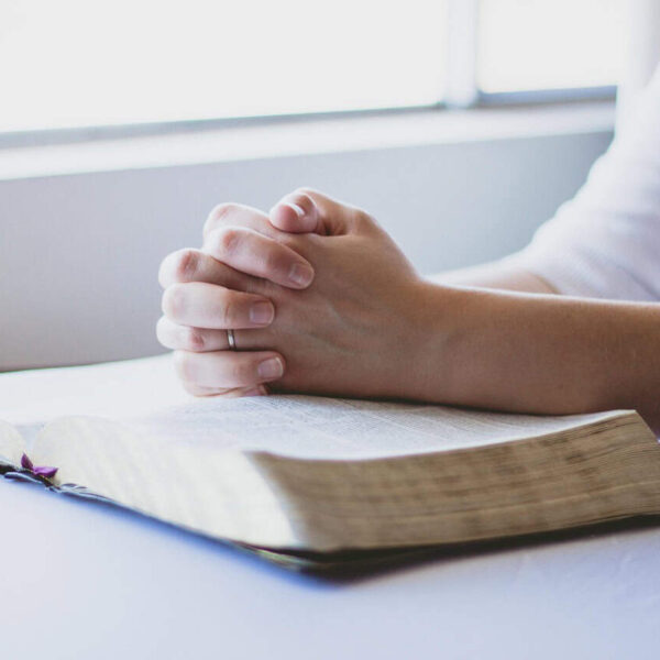 prayer, bible, christian, folded hands, religion, god, book, faith, christianity, religious, holy, praying, spiritual, reading, person, believe, hope, hand, prayer, prayer, prayer, prayer, prayer, bible, bible, bible, christian, god, faith, walk by faith