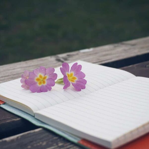 bench, flower, notebook, pen, wooden, notepad, wooden table, lifestyle, modern, beautiful flowers, creative, white, flower background, flora, plant, spring, note, flower wallpaper, decoration, environment, life, natural, decorative, nature, garden, journaling