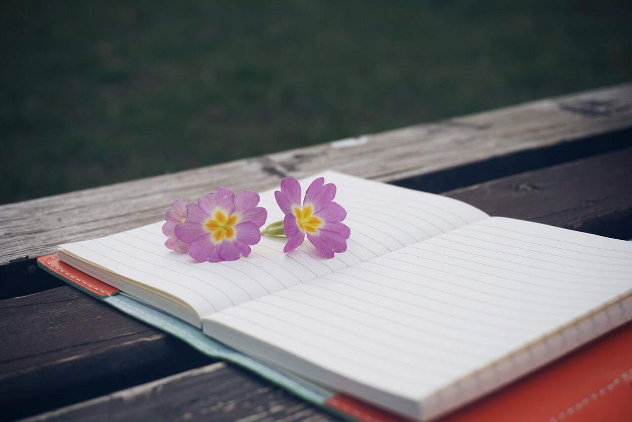 bench, flower, notebook, pen, wooden, notepad, wooden table, lifestyle, modern, beautiful flowers, creative, white, flower background, flora, plant, spring, note, flower wallpaper, decoration, environment, life, natural, decorative, nature, garden, journaling