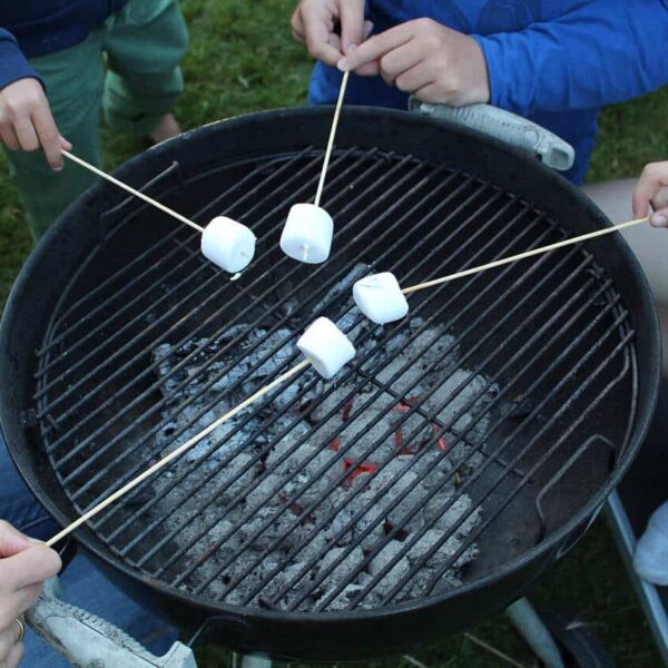 grill, charcoal, grilling, yummy, embers, bbq, marshmallow, hot, pike, bbq, marshmallow, s'mores donuts