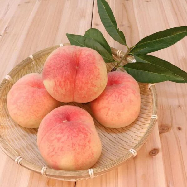 peach recipes