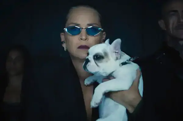 Nobody 2: How Sharon Stone Turned Social Media Cruelty Into Creative Power