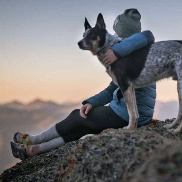 Best National Parks that are great for dogs