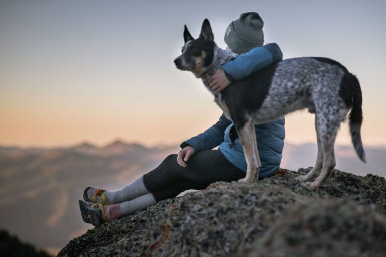 Best National Parks that are great for dogs