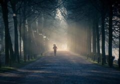 Chasing Grace