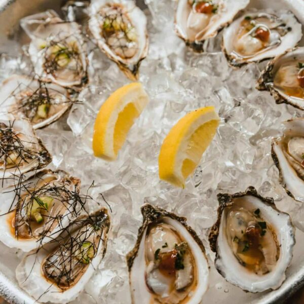 flesh-eating bacteria, A bowl of fresh oysters on ice garnished with lemon wedges, showcasing seafood freshness.