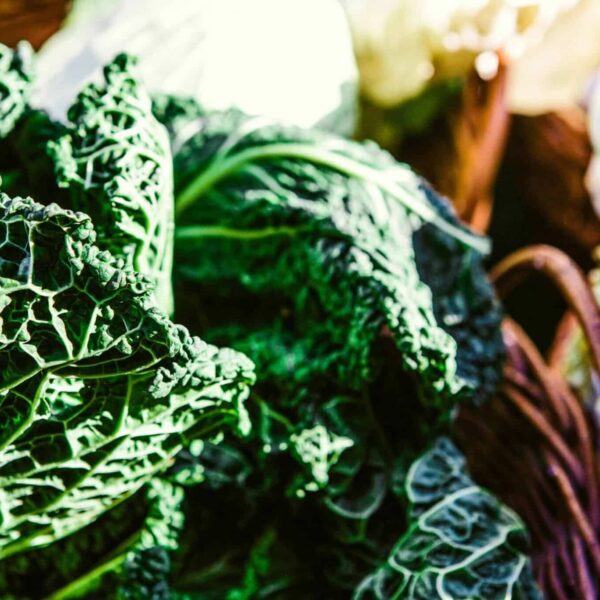 Close-up of fresh organic cabbages in a Berlin market basket, highlighting vibrant green leaves. Vitamin K