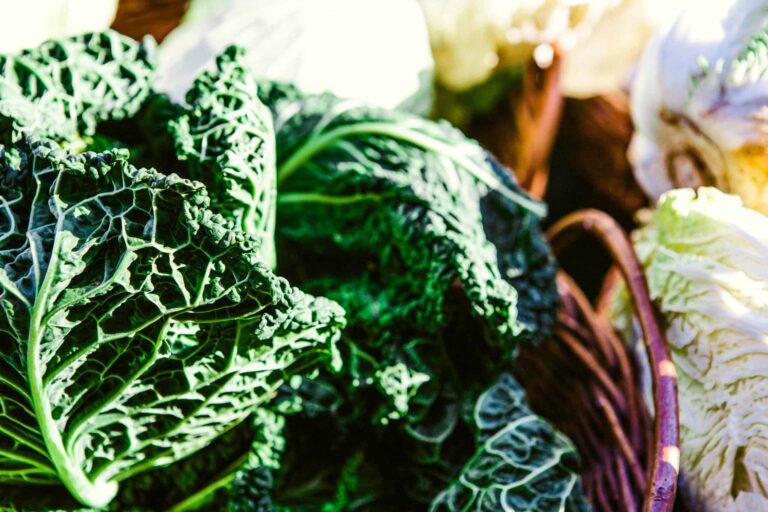 Close-up of fresh organic cabbages in a Berlin market basket, highlighting vibrant green leaves. Vitamin K