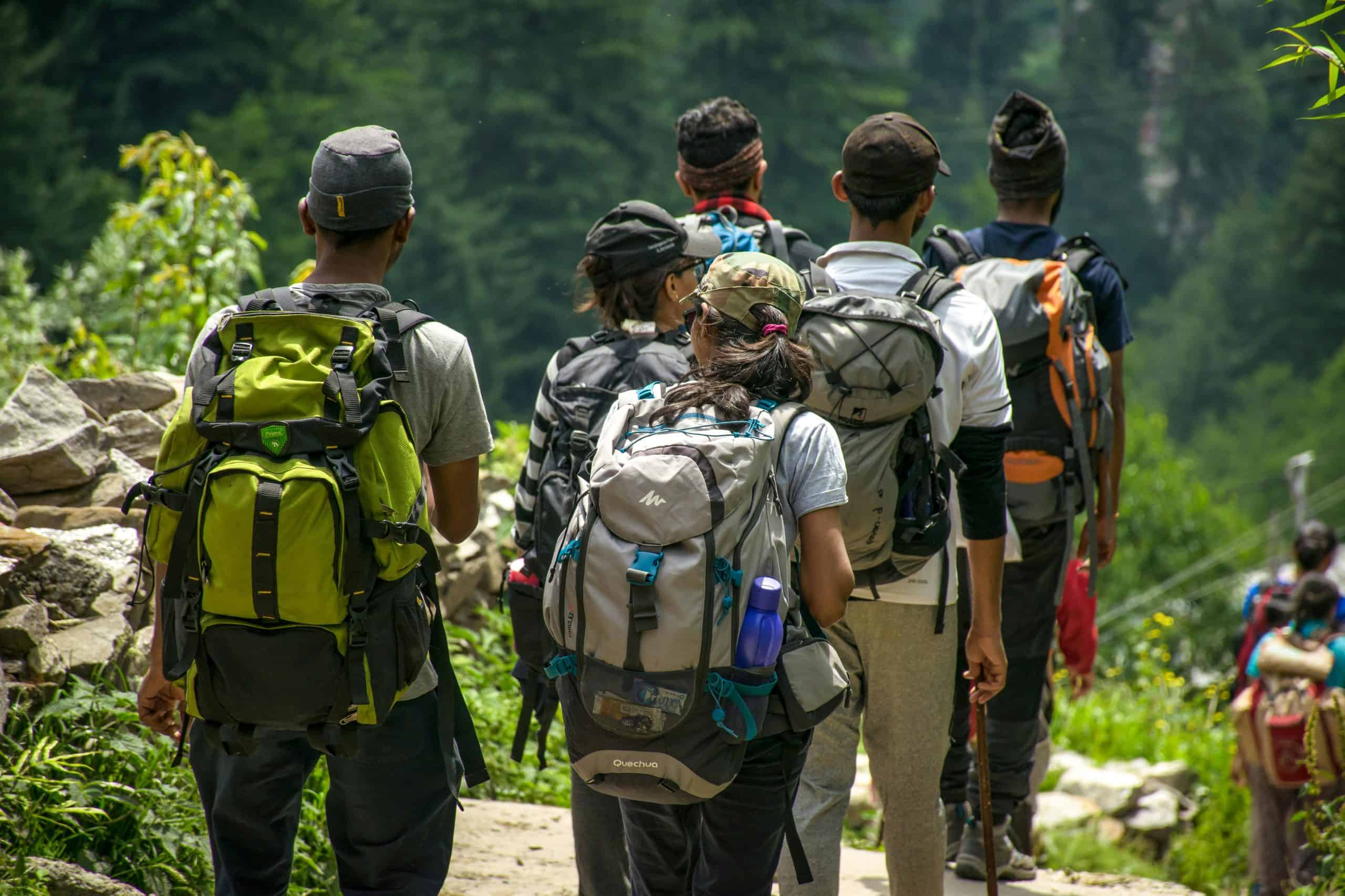 An adventurous group hike in a lush forest setting with vibrant green surroundings. professional hiking guides