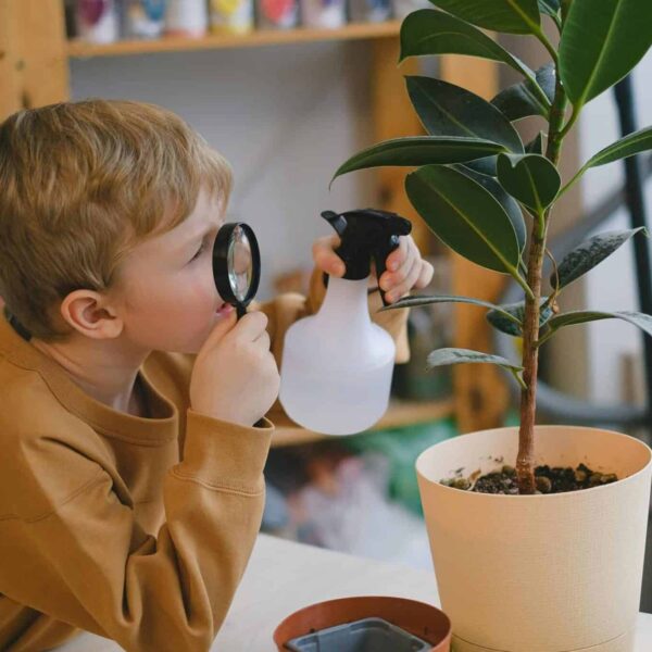 A boy is looking at a plant with a magnifying glass. He is also spraying the plant with water. Caring for plants can be part of homeschooling.