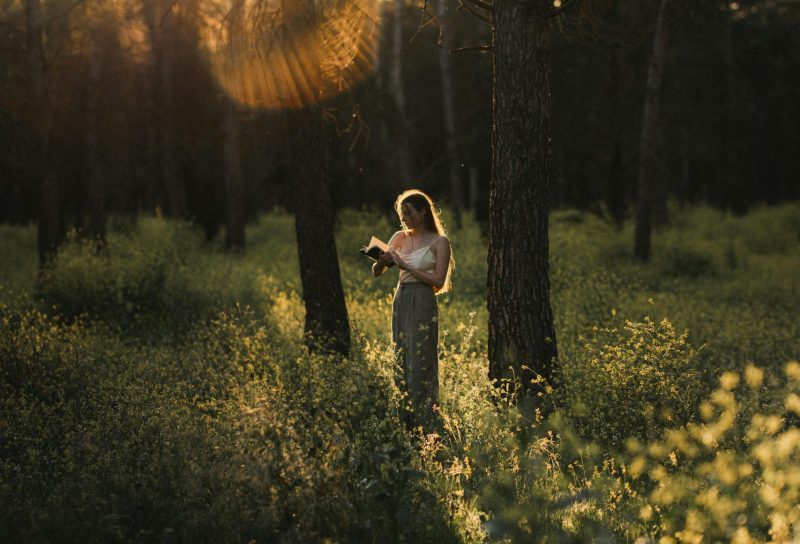 A woman enjoys reading a book in a sunlit forest clearing at sunset, surrounded by nature.