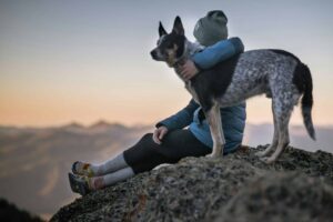 A person wearing a beanie and winter jacket sits on a rocky mountain with a dog, overlooking sunset views. pets