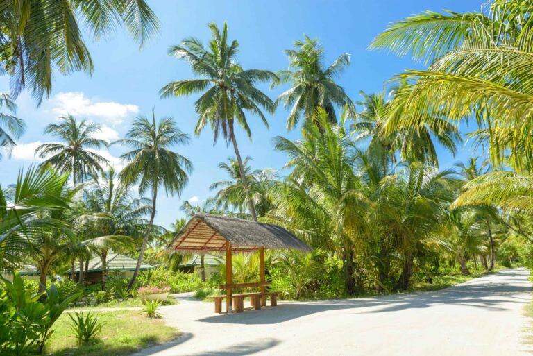 A serene tropical scene with palm trees and a rustic hut under a vibrant blue sky. digital detox resorts