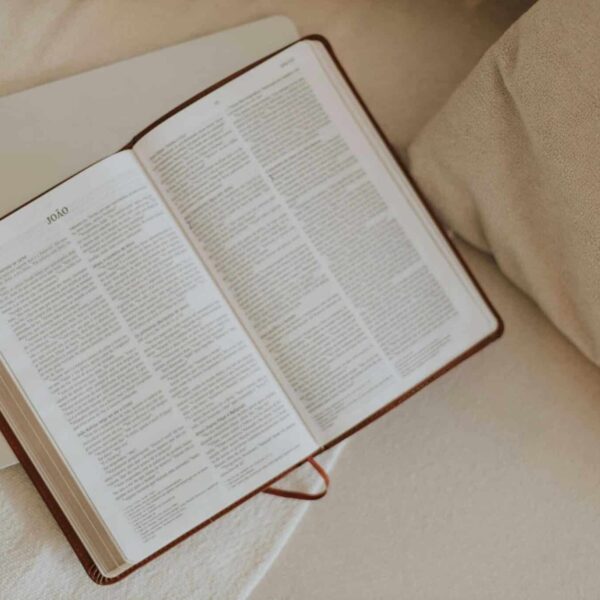 Daily Devotion. An open Bible on a beige blanket, inviting peaceful reflection and spiritual reading.