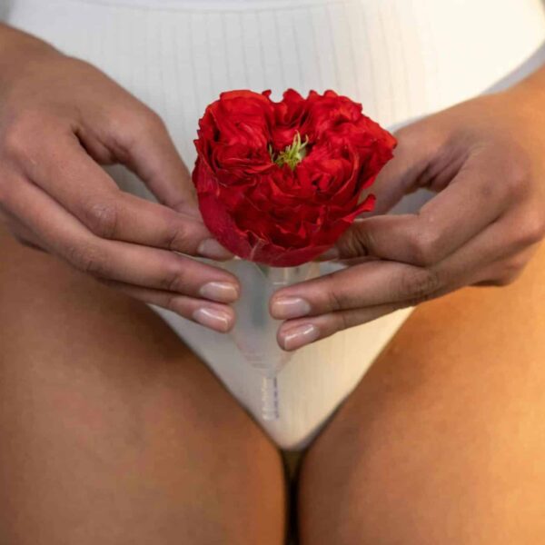Period underwear