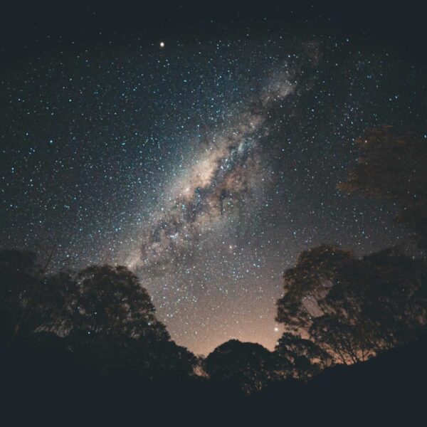 Stunning view of the Milky Way galaxy over silhouetted trees in a tranquil night setting. Ceres Retrograde