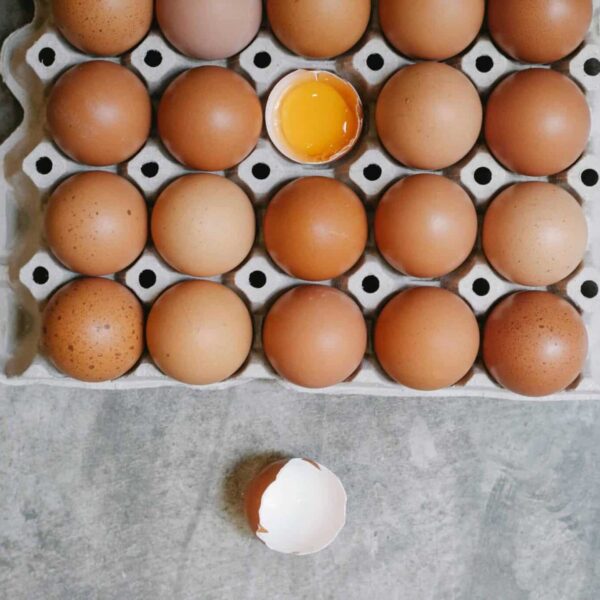 Top view of chicken eggs in rows in paper container placed on table for cooking. egg recall