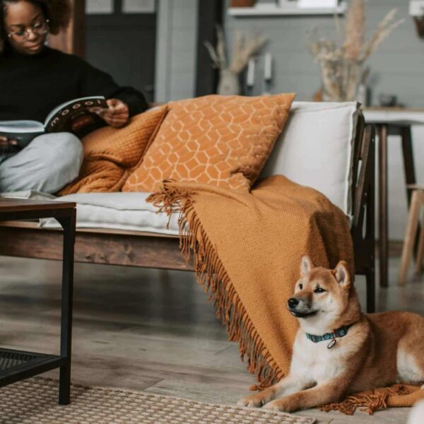 A woman enjoys a book on a cozy sofa in a pet-friendly interior design setting, with a Shiba Inu dog relaxing nearby. Photo by Vlada Karpovich via Pexels.