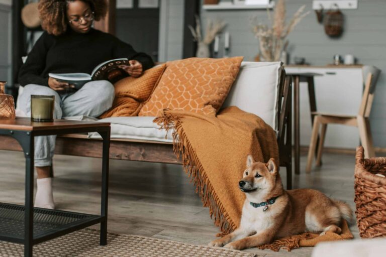 A woman enjoys a book on a cozy sofa in a pet-friendly interior design setting, with a Shiba Inu dog relaxing nearby. Photo by Vlada Karpovich via Pexels.