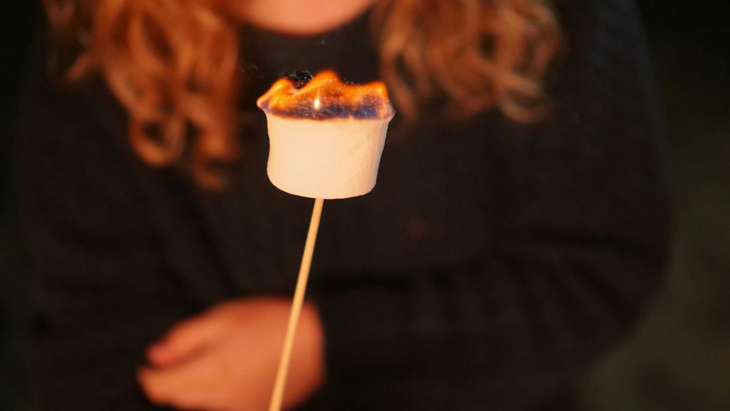 Close-up of a marshmallow being roasted over a campfire, perfect for camping-themed content. Desserts