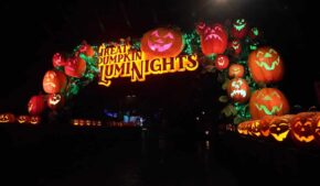 Dollywood harvest fest